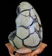 Septarian Dragon Egg Geode - Black Crystals #71987-4